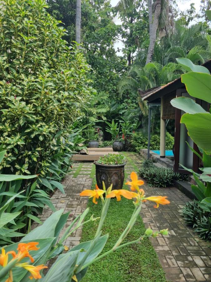 Villa Jati - Private Poolside Villa Central Lovina ภายนอก รูปภาพ