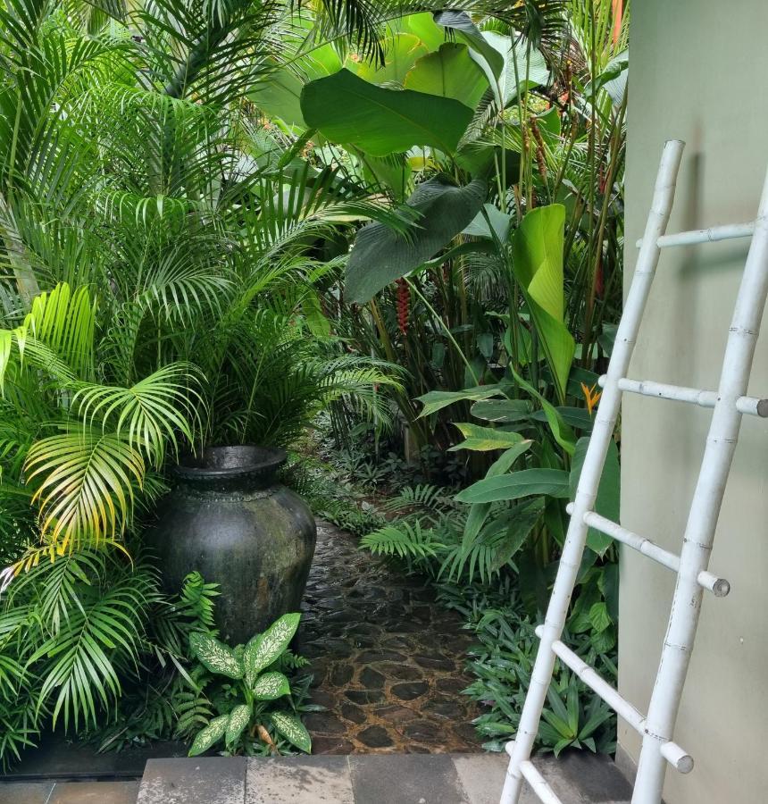 Villa Jati - Private Poolside Villa Central Lovina ภายนอก รูปภาพ